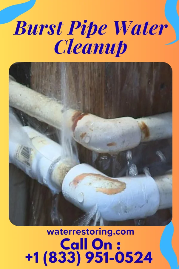 Burst Pipe Water Cleanup in Hillsdale, NJ