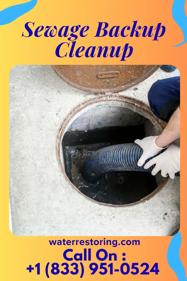 Sewage Backup Cleanup in Hillsdale, NJ