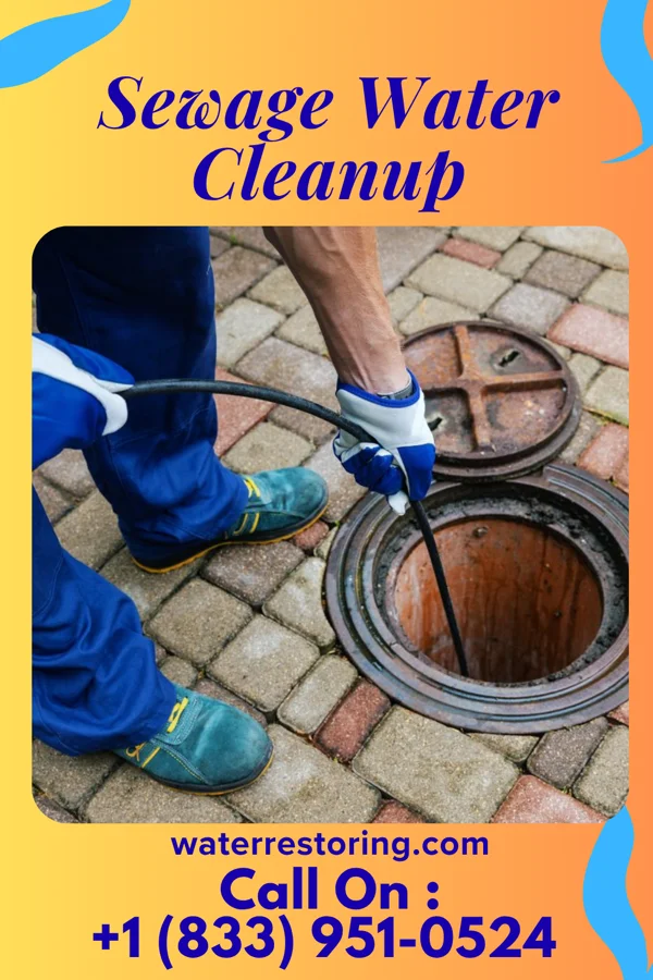 Sewage Water Cleanup in Hillsdale, NJ