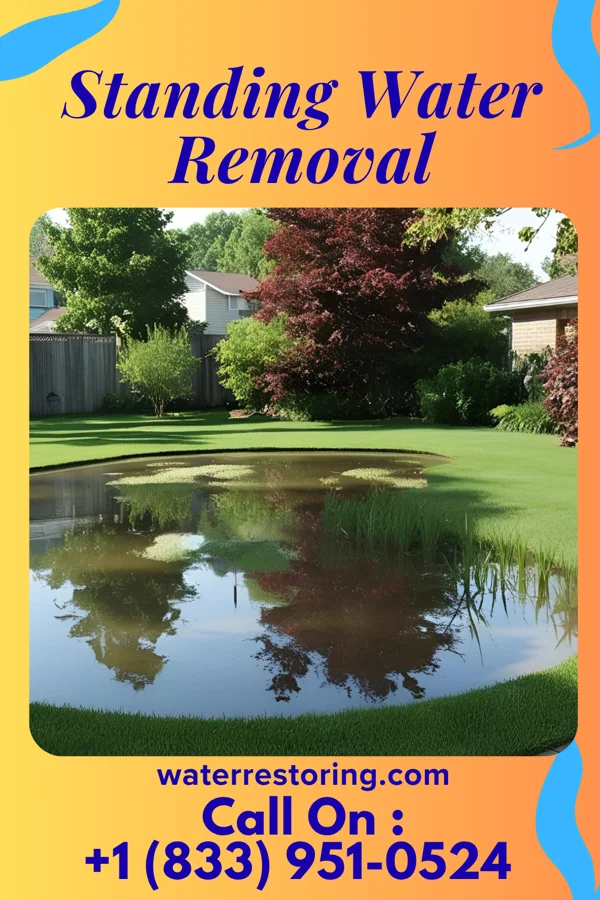 Standing Water Removal in Hillsdale, NJ